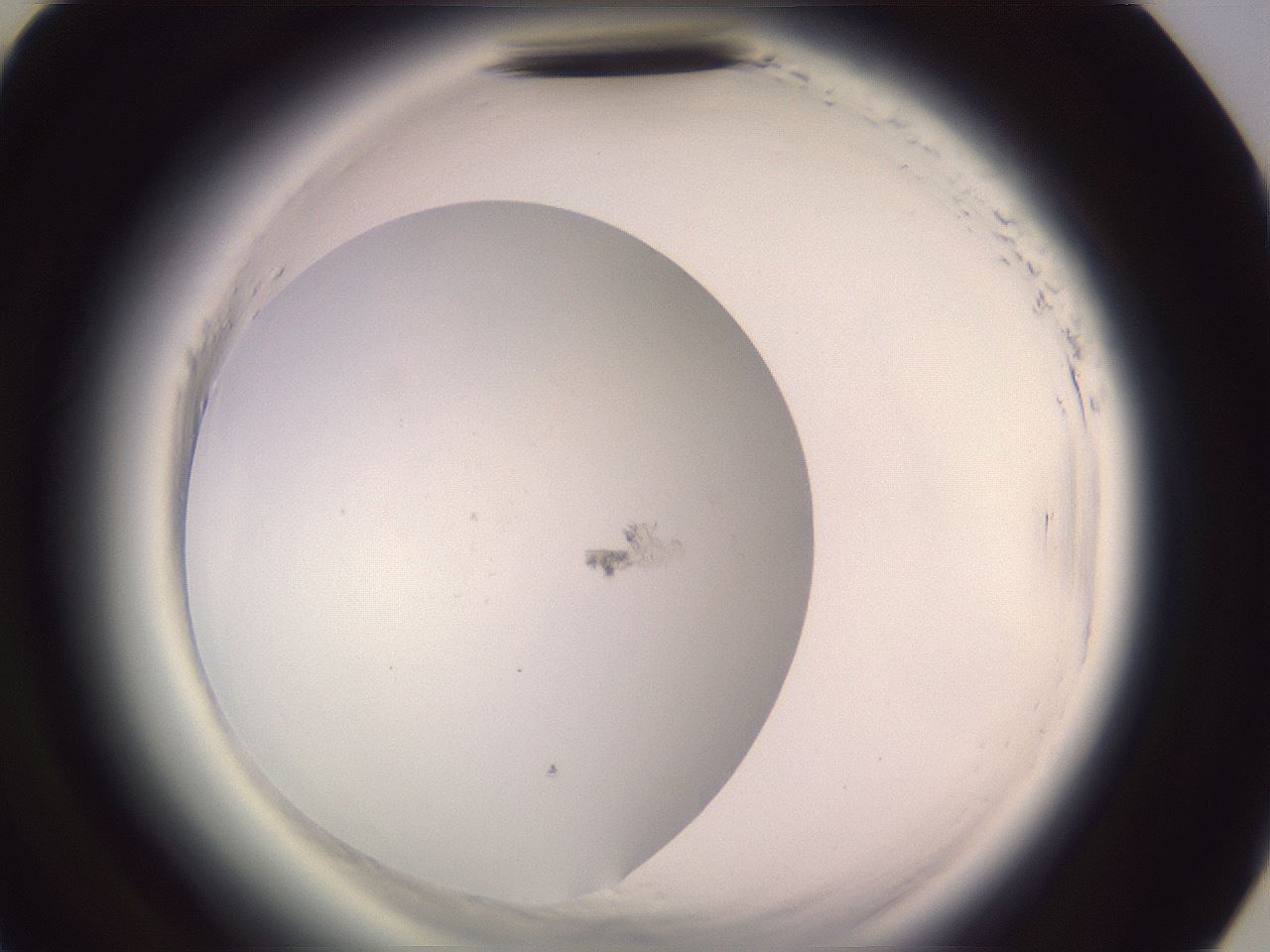 folderID640_plateID2640_batchID15040_wellNum55_profileID1_d3_r214643_ef.jpg