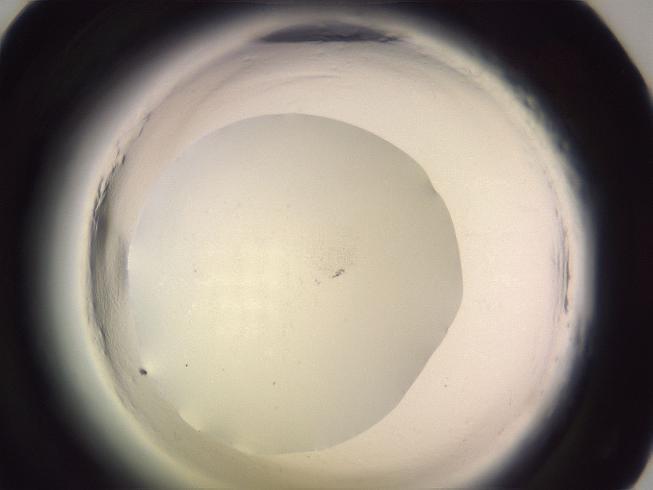 folderID640_plateID2640_batchID15327_wellNum45_profileID1_d1_r214611_ef.jpg