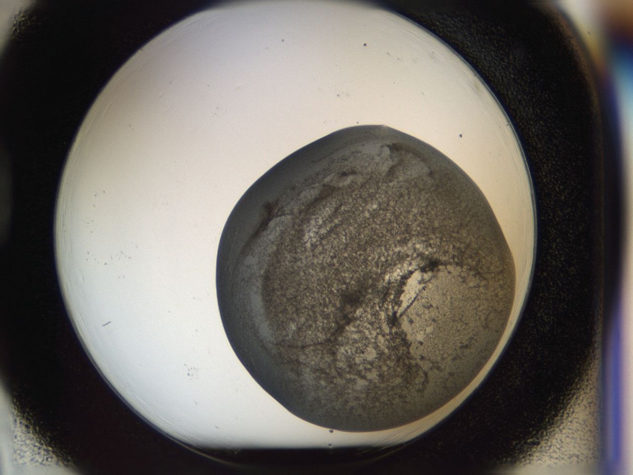 04b5_D3_ImagerDefaults_6.jpg