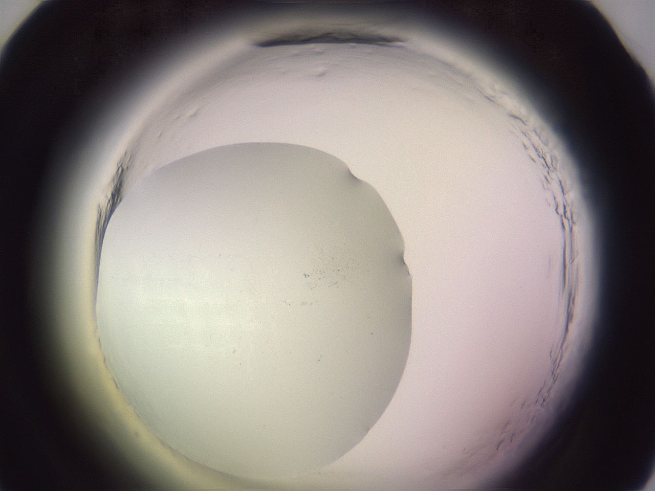 folderID640_plateID2640_batchID14561_wellNum34_profileID1_d1_r214578_ef.jpg