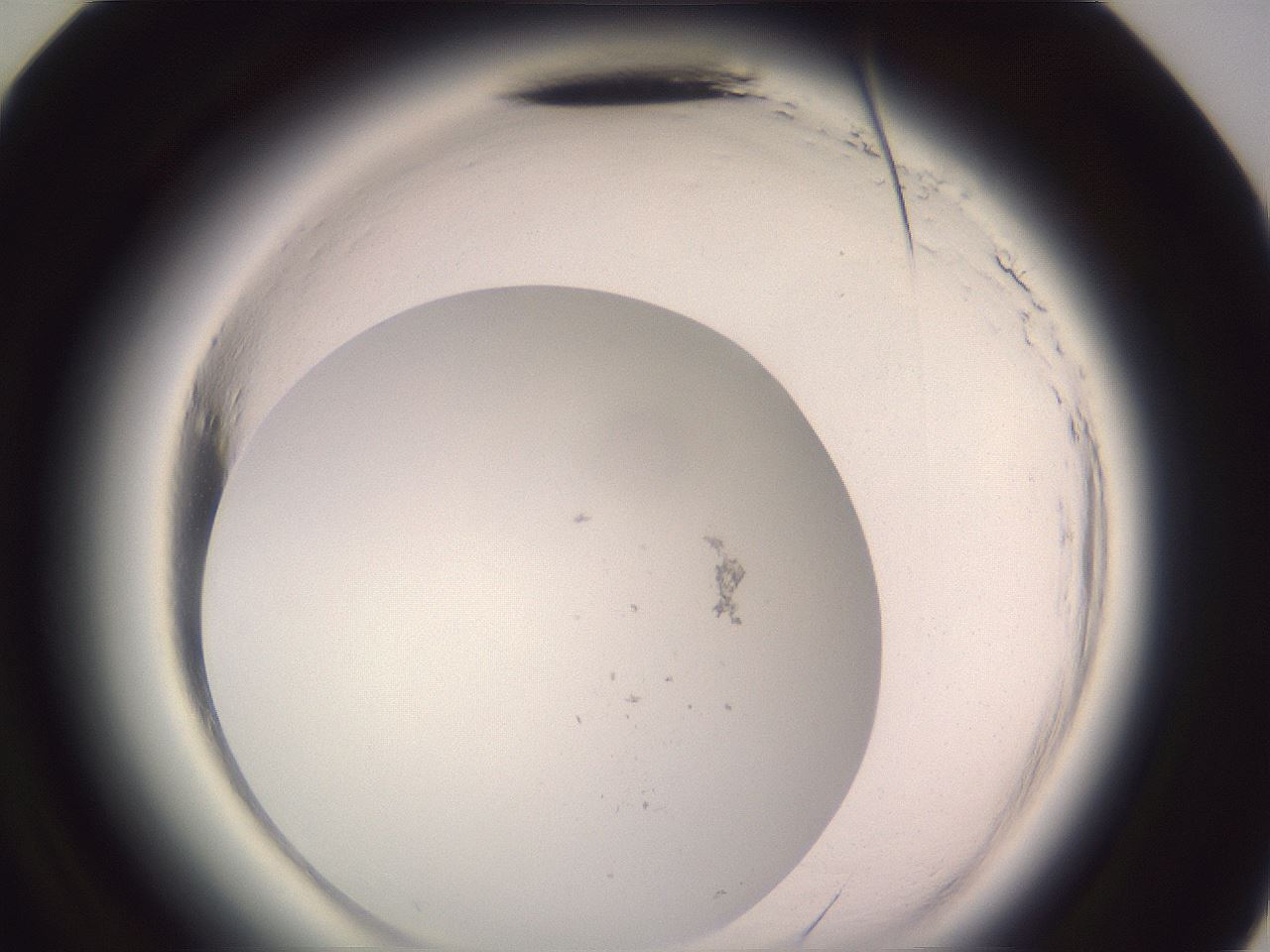 folderID640_plateID2640_batchID14561_wellNum60_profileID1_d3_r214658_ef.jpg