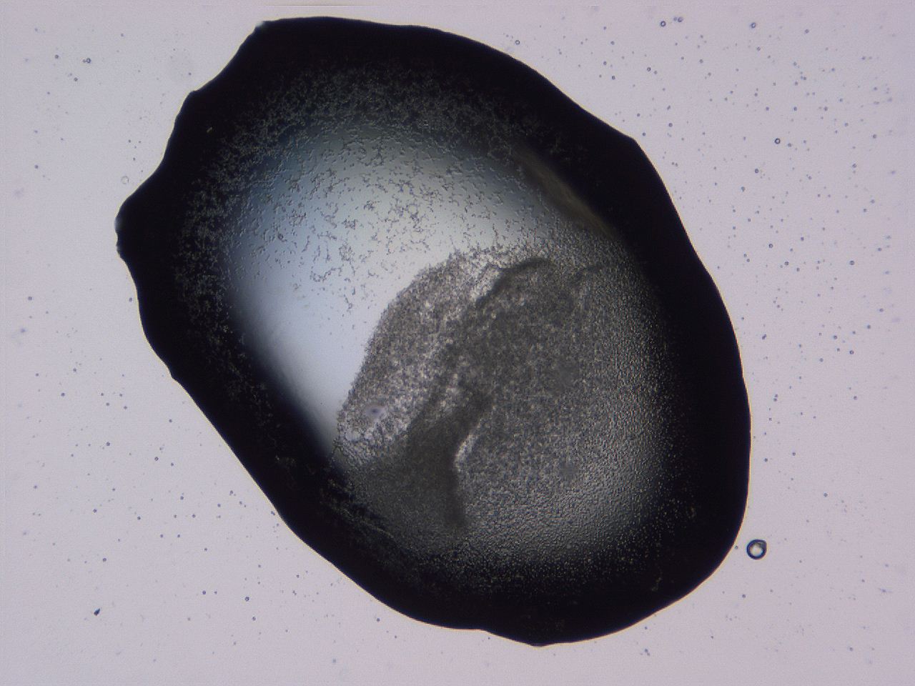 04b7_D12_ImagerDefaults_3.jpg