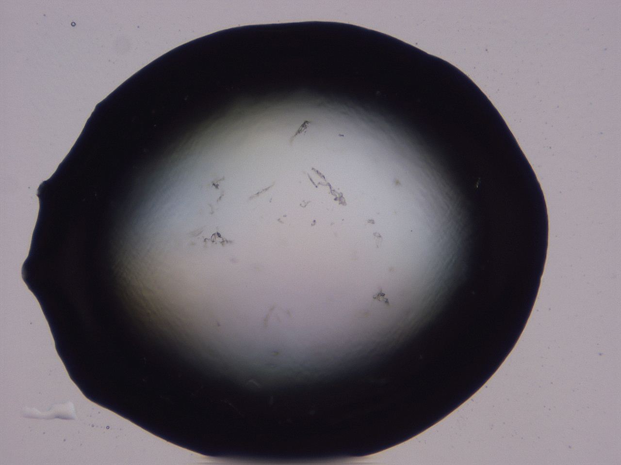 04b7_B10_ImagerDefaults_0.jpg
