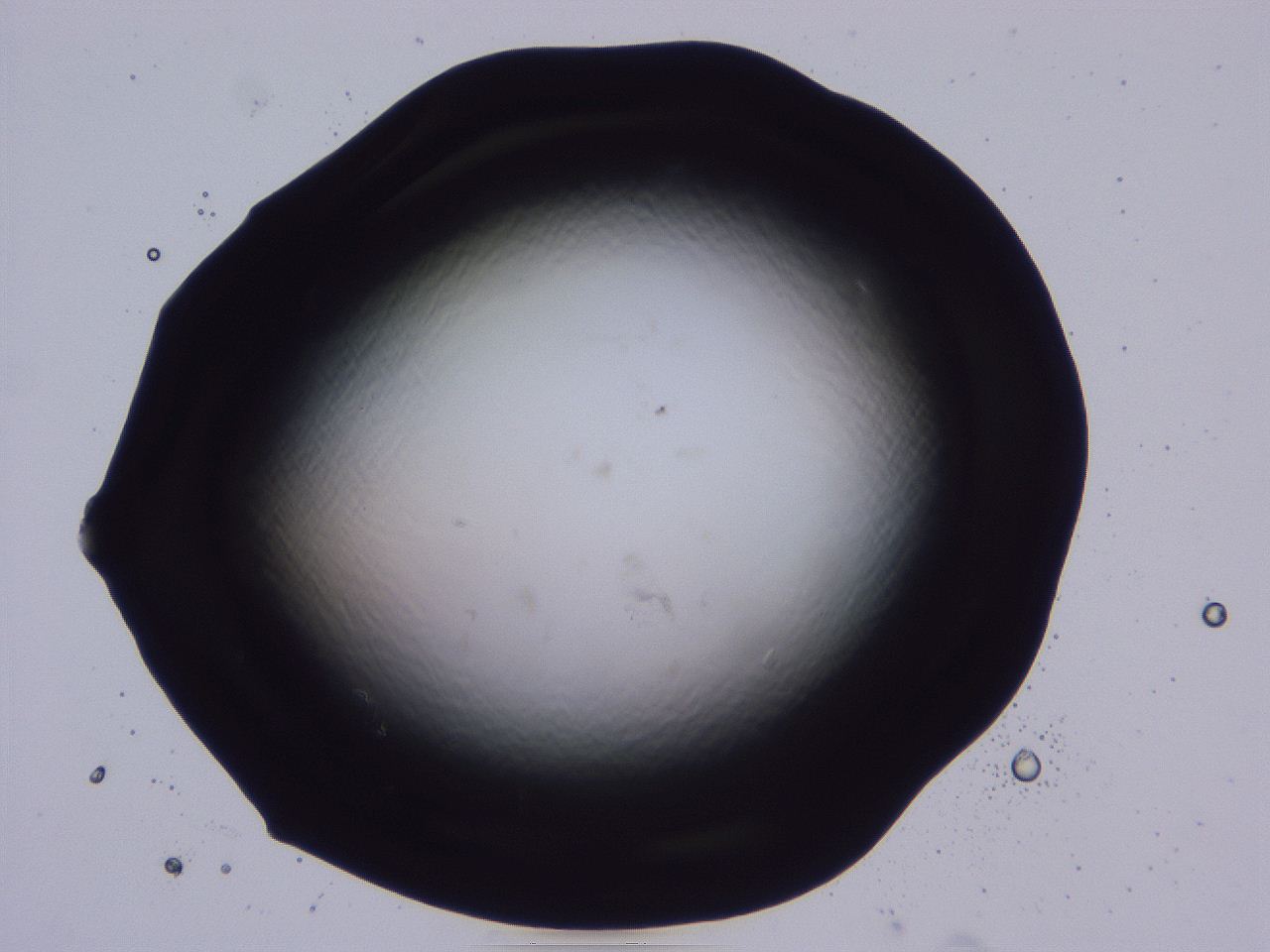 04b7_B11_ImagerDefaults_0.jpg
