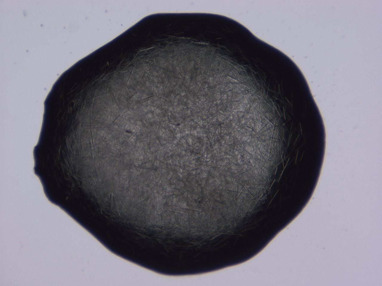 04b7_B12_ImagerDefaults_9.jpg