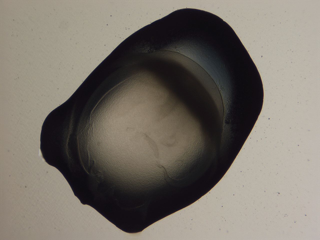 04b7_A11_ImagerDefaults_3.jpg