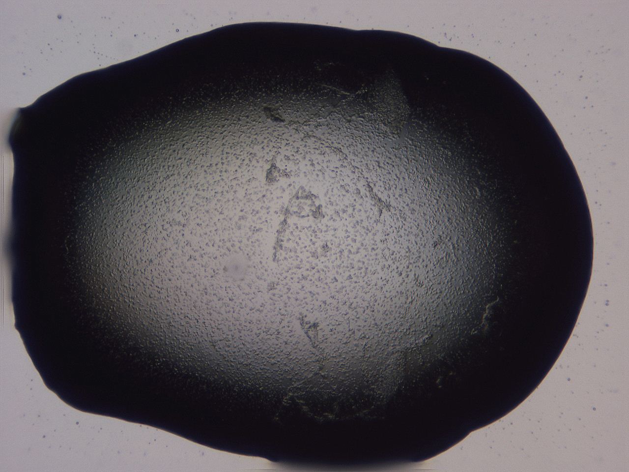 04b7_B2_ImagerDefaults_3.jpg