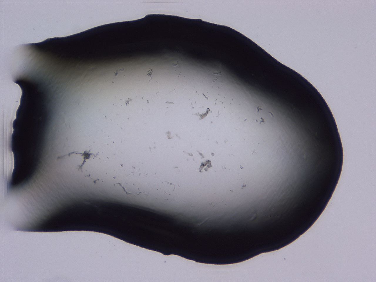 04b7_C7_ImagerDefaults_0.jpg