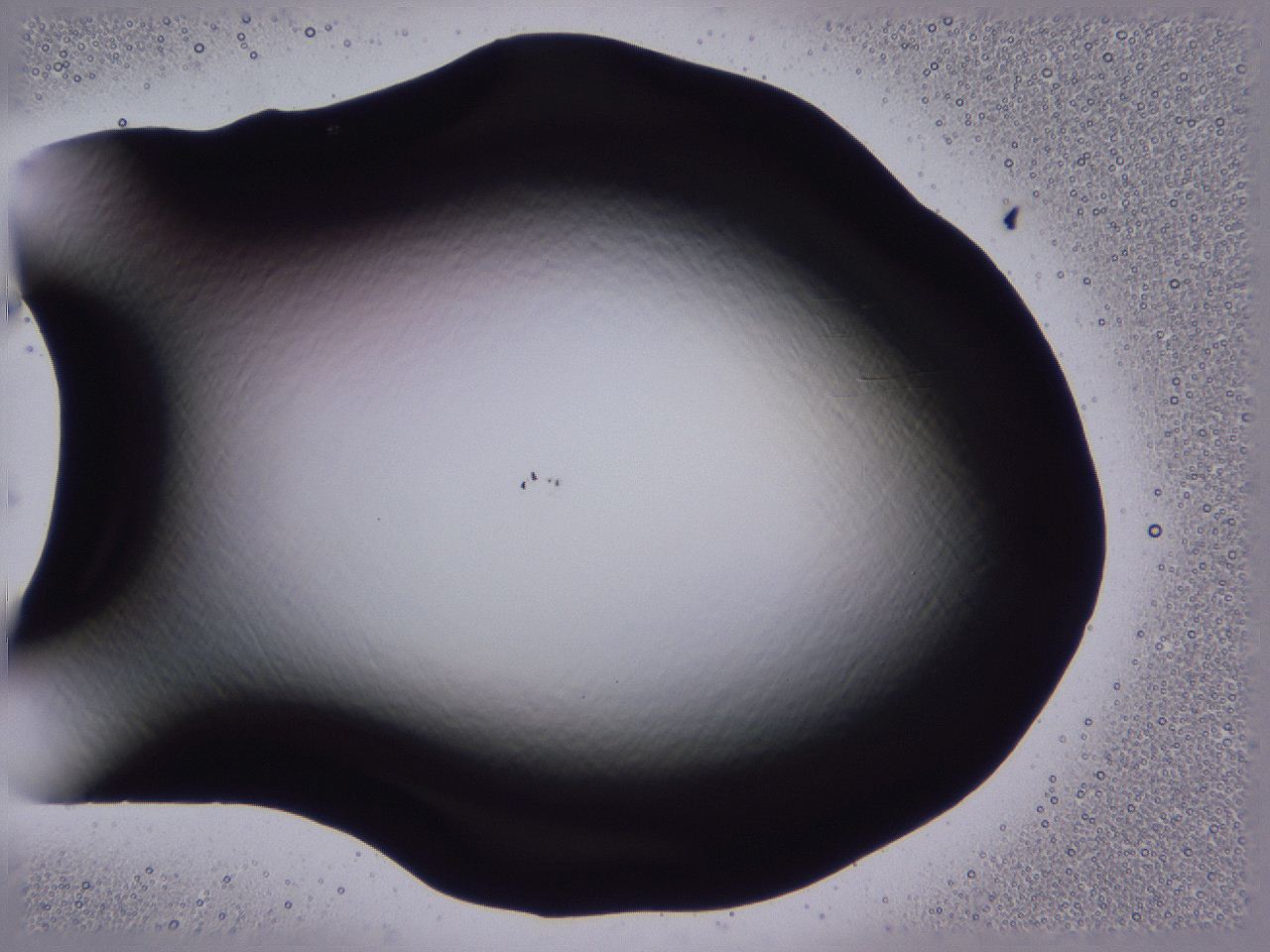 04b7_C8_ImagerDefaults_0.jpg