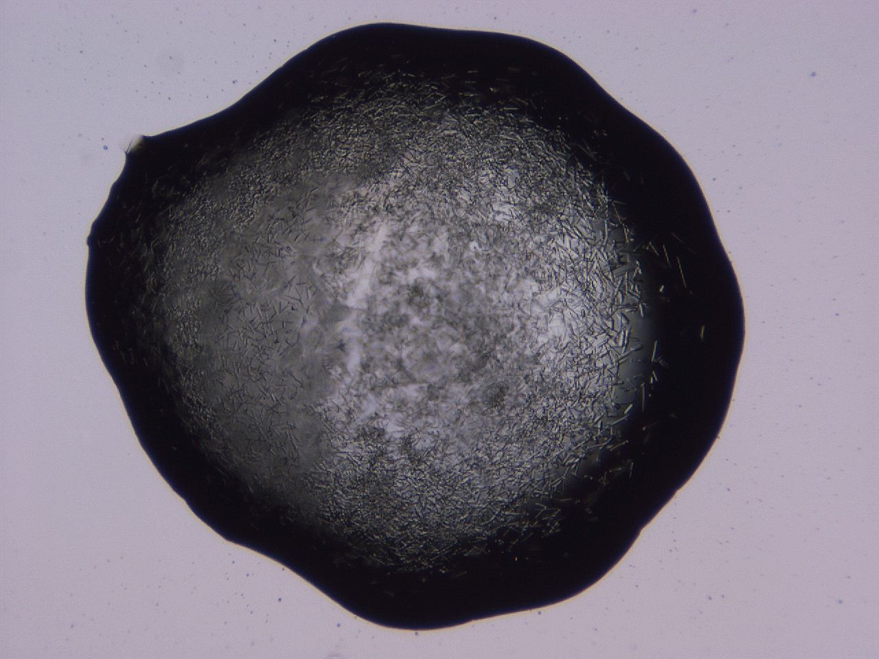 04b7_C10_ImagerDefaults_8.jpg