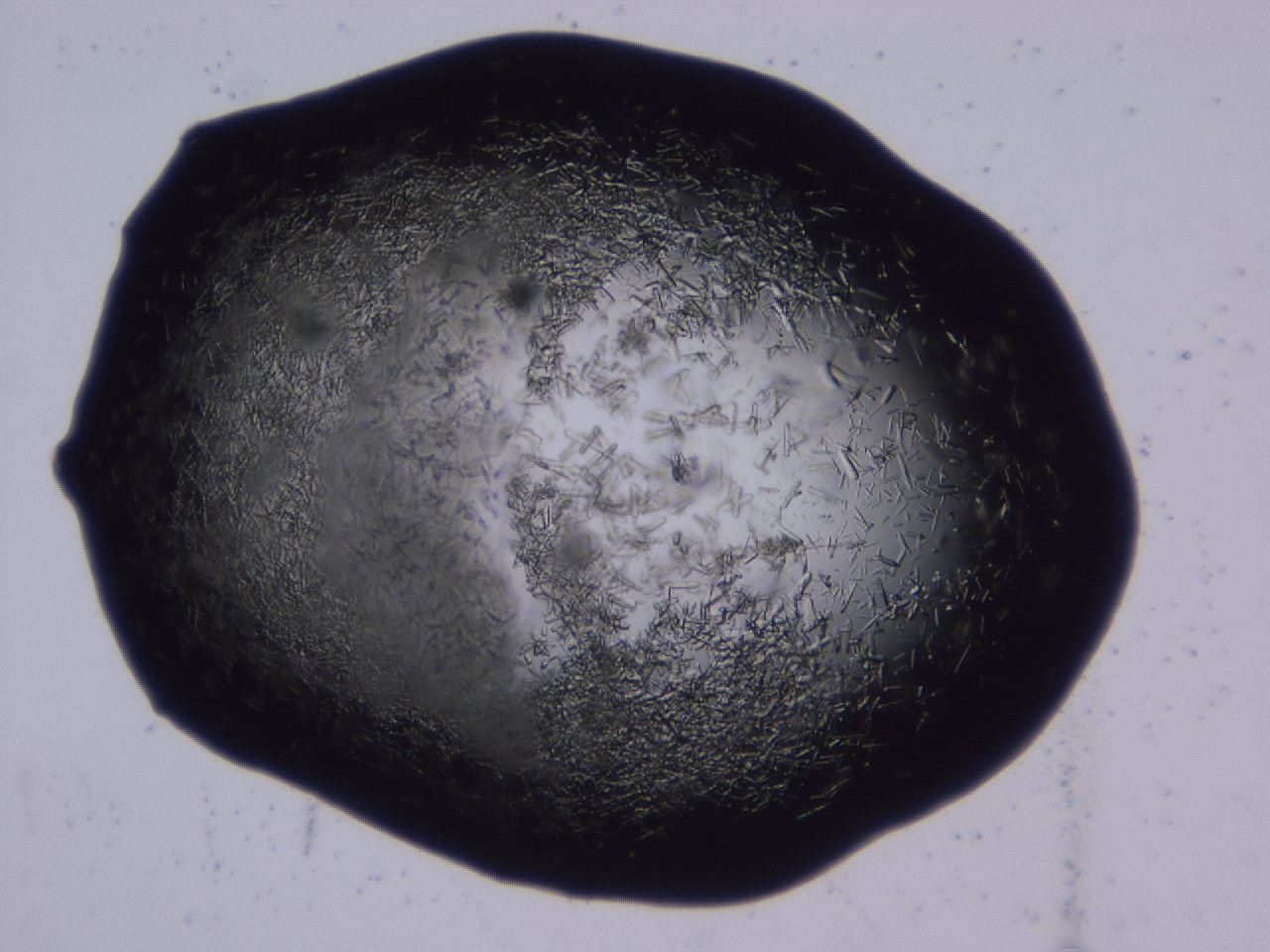 04b7_C11_ImagerDefaults_8.jpg
