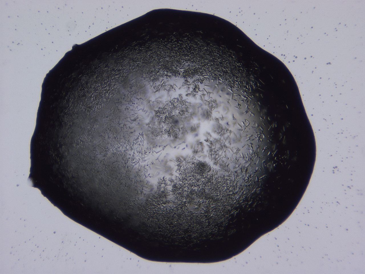 04b7_C12_ImagerDefaults_8.jpg