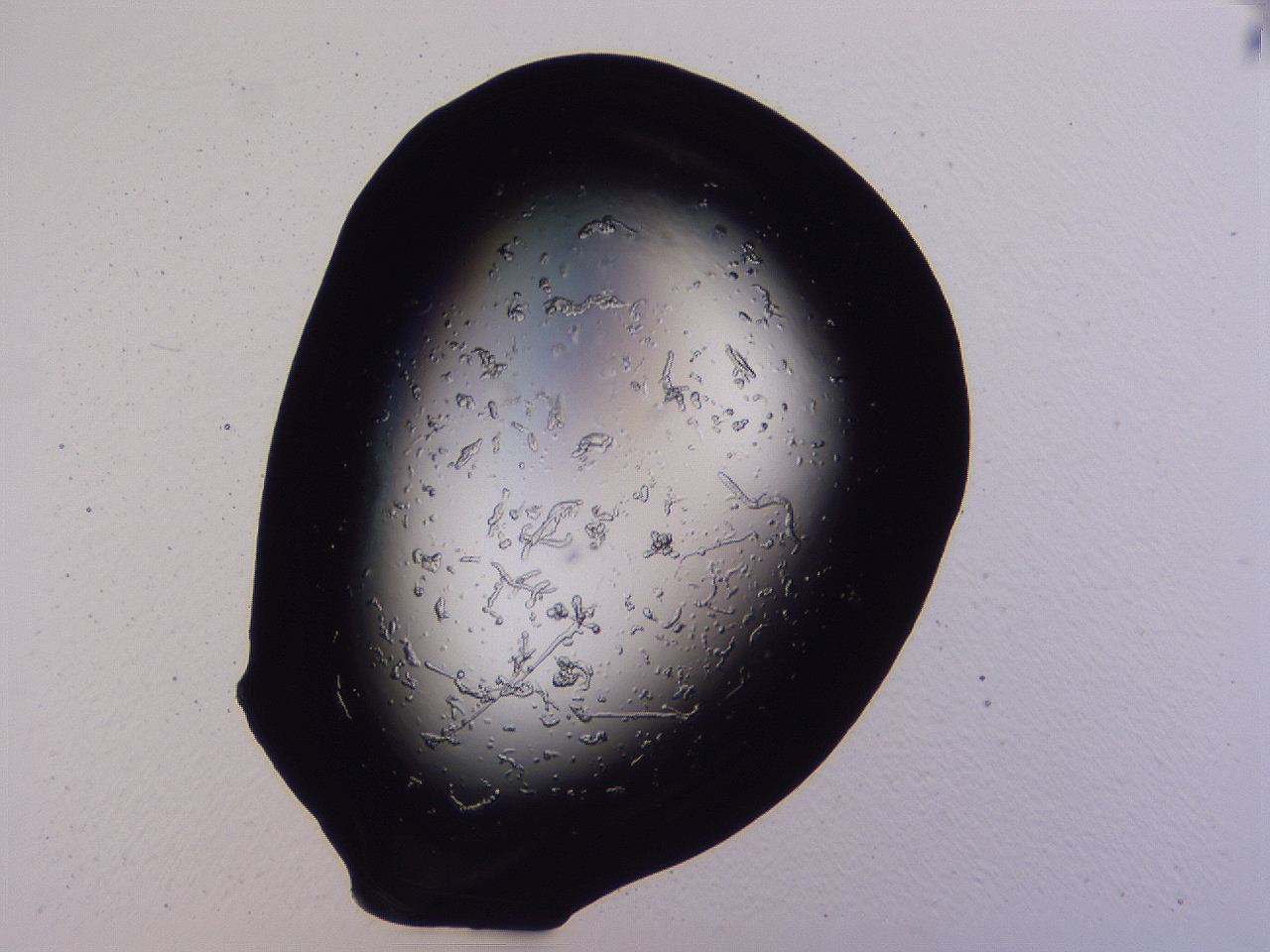 04b7_A6_ImagerDefaults_0.jpg