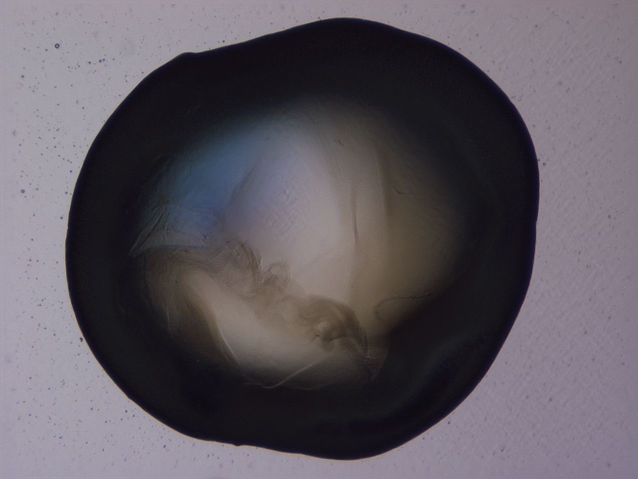 04b7_A4_ImagerDefaults_3.jpg
