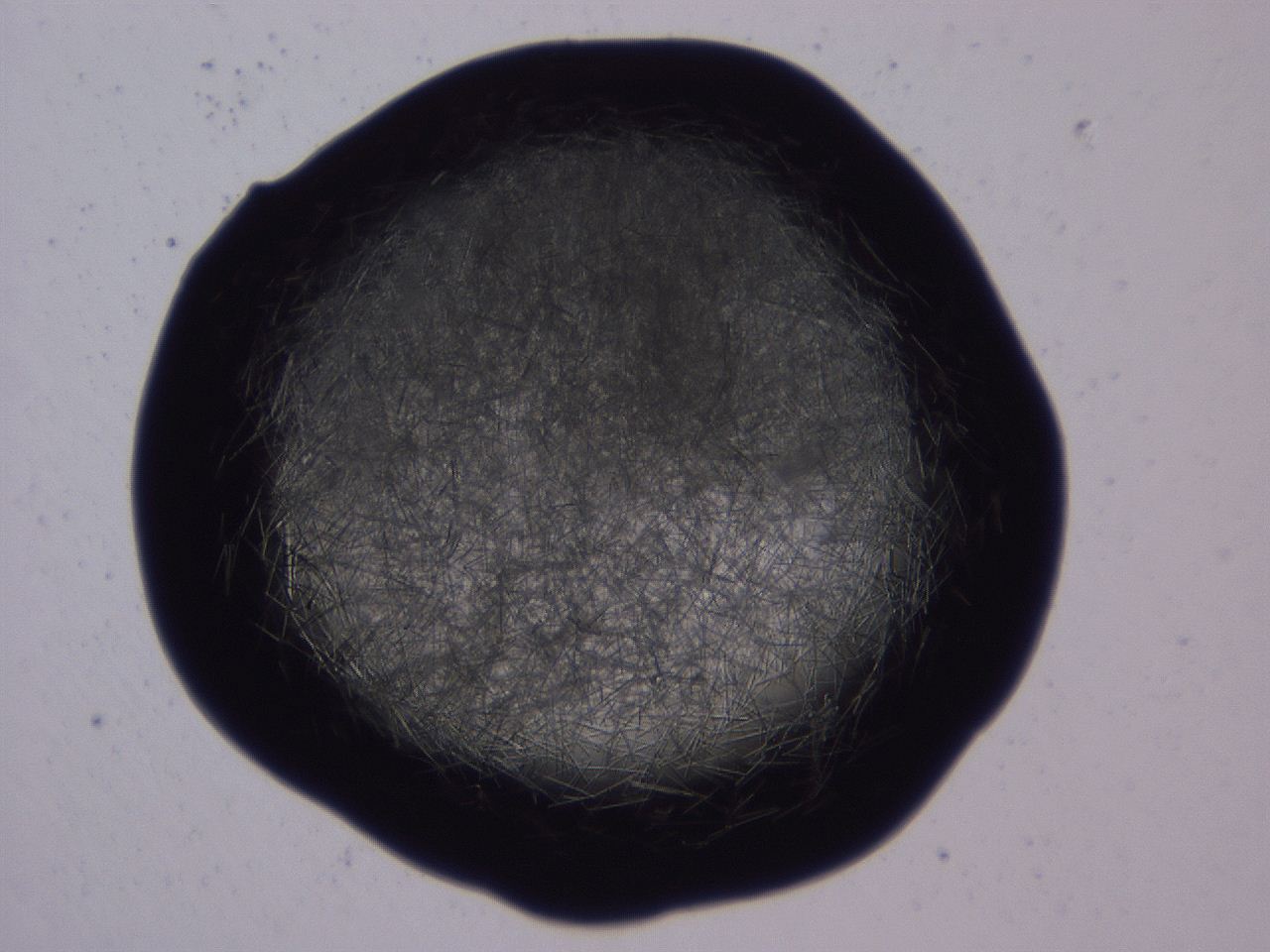 04b7_A3_ImagerDefaults_9.jpg