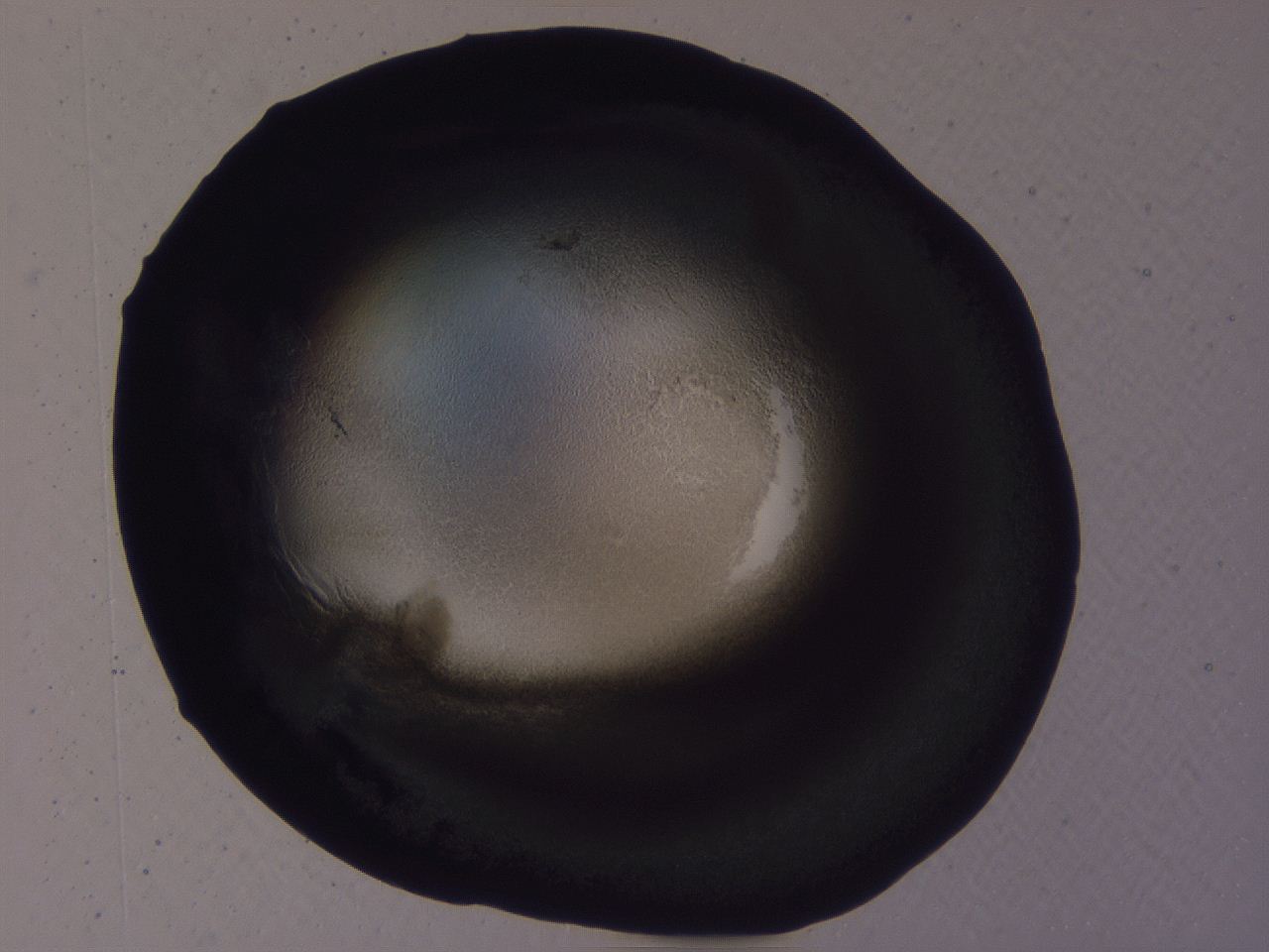 04b7_A2_ImagerDefaults_3.jpg