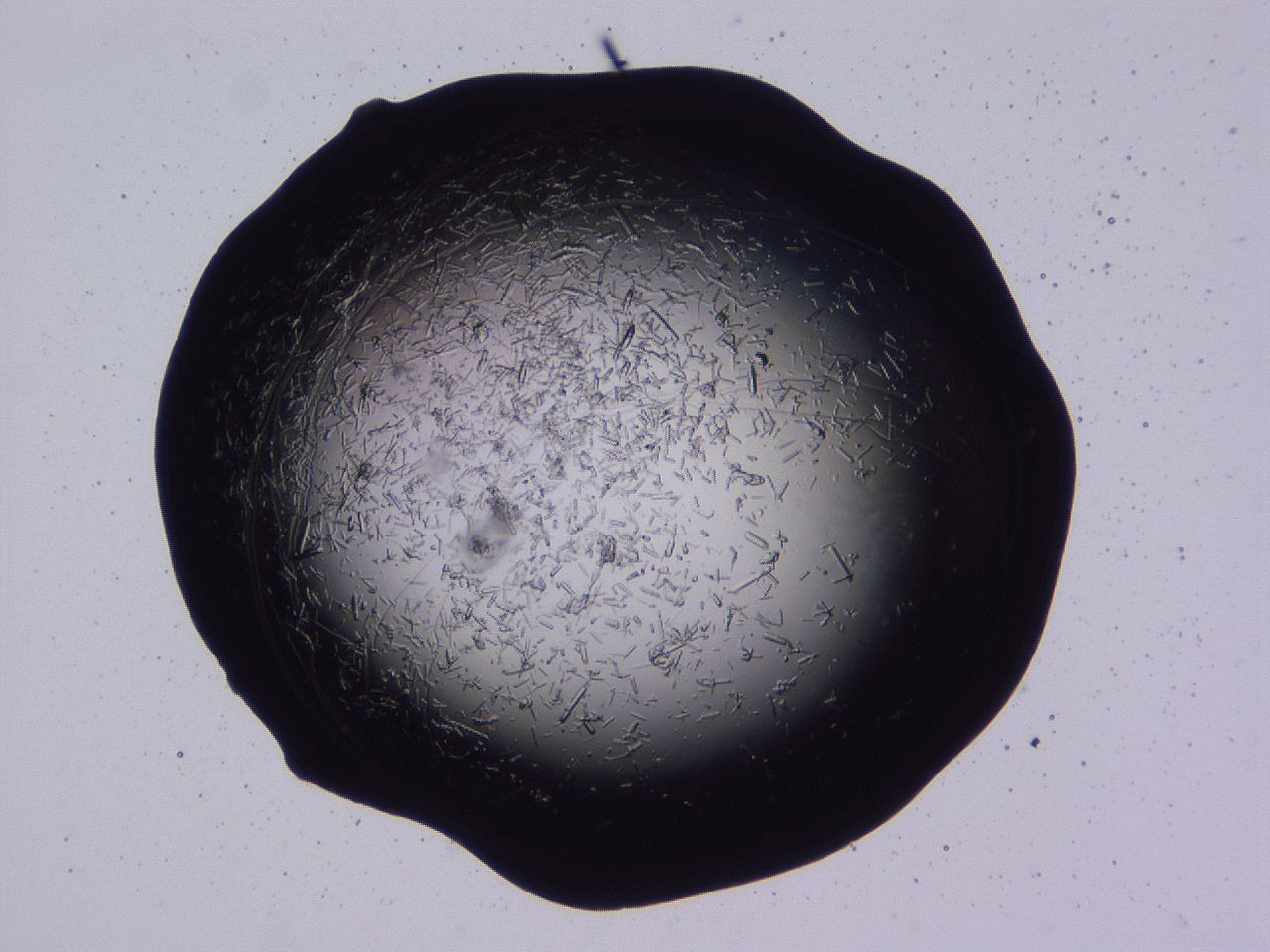 04b7_D3_ImagerDefaults_8.jpg