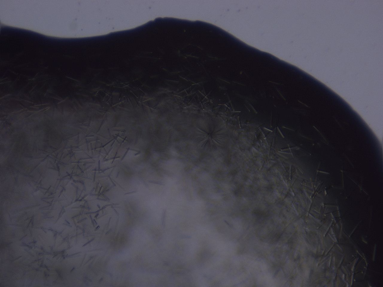 04b7_E6_ImagerDefaults_8.jpg