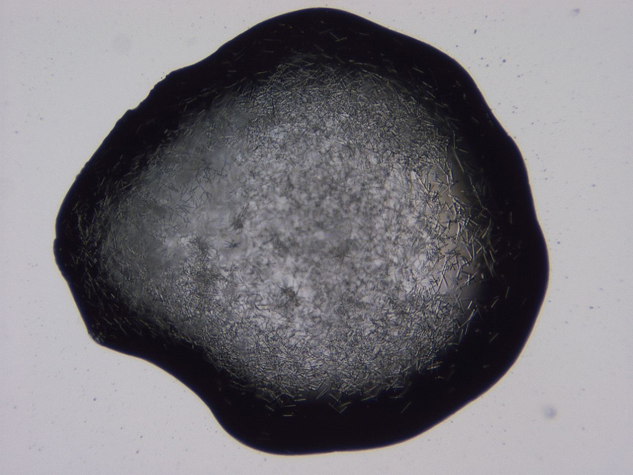 04b7_E11_ImagerDefaults_8.jpg