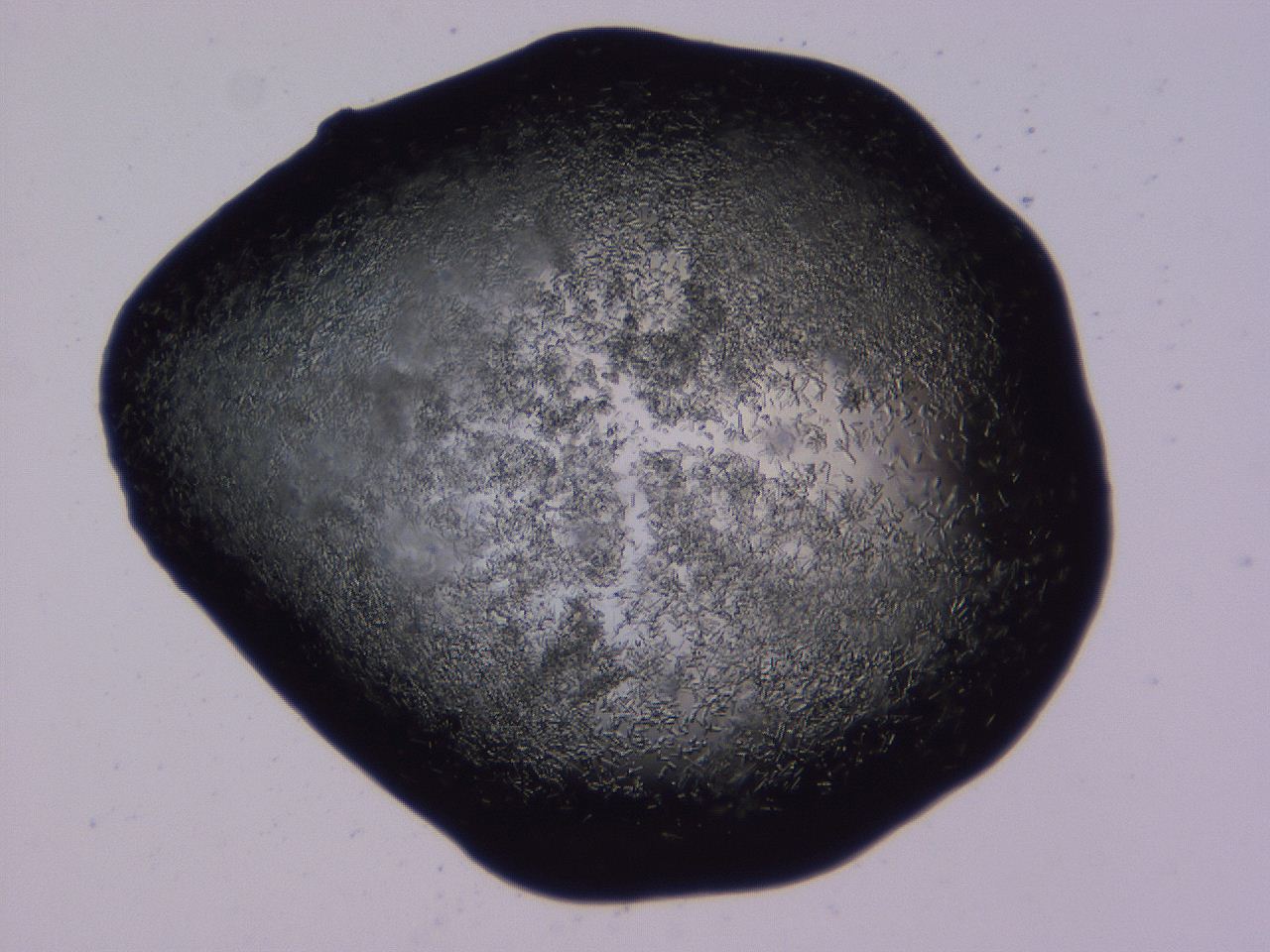 04b7_E12_ImagerDefaults_8.jpg