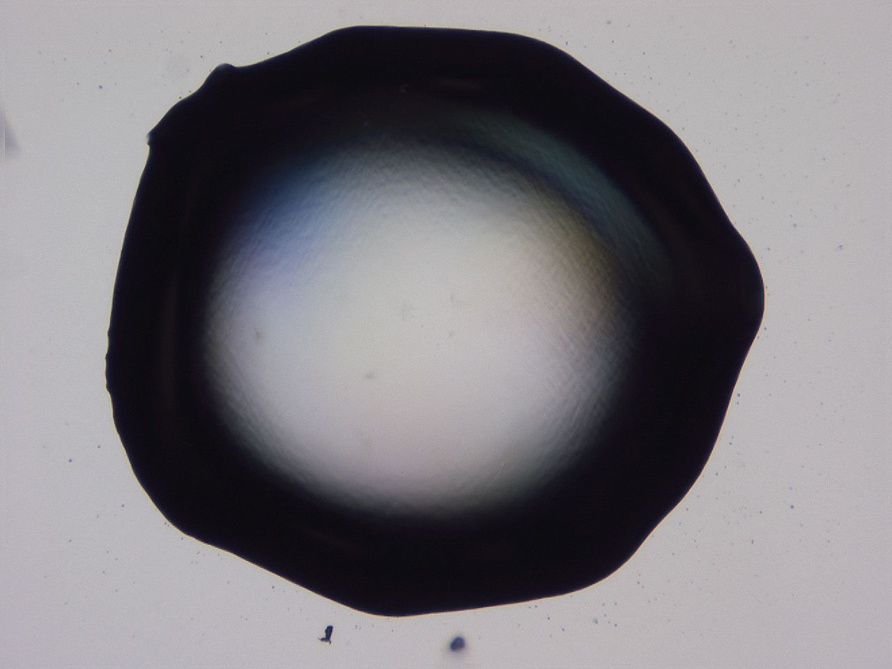 04b7_F3_ImagerDefaults_0.jpg