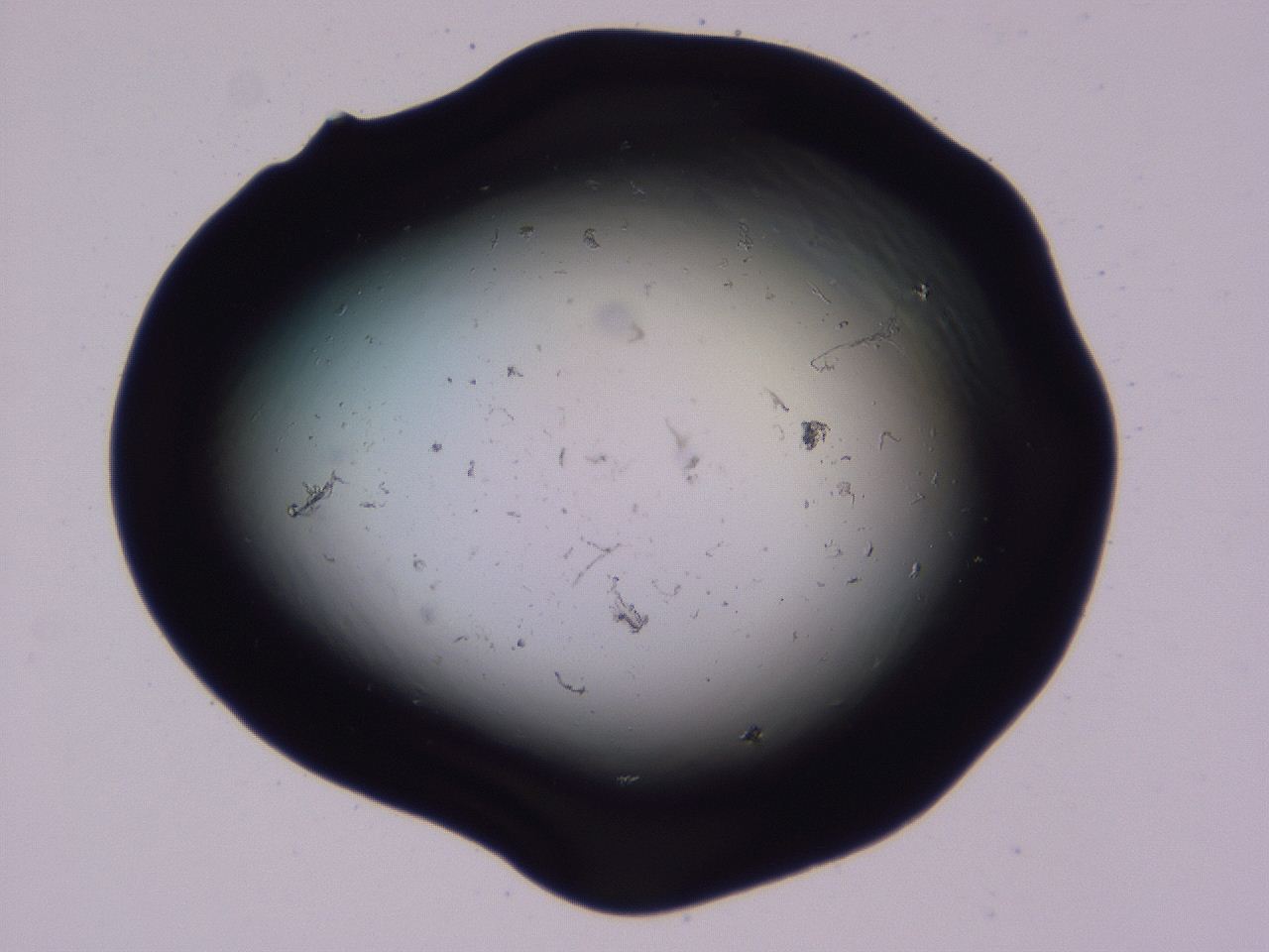 04b7_F4_ImagerDefaults_8.jpg