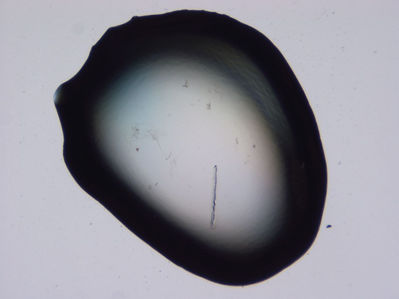 04b7_F5_ImagerDefaults_0.jpg