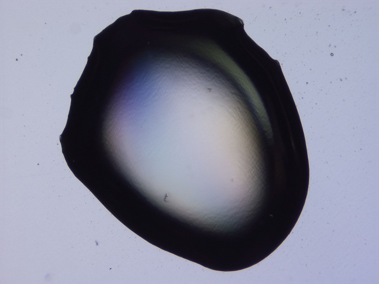 04b7_F6_ImagerDefaults_0.jpg