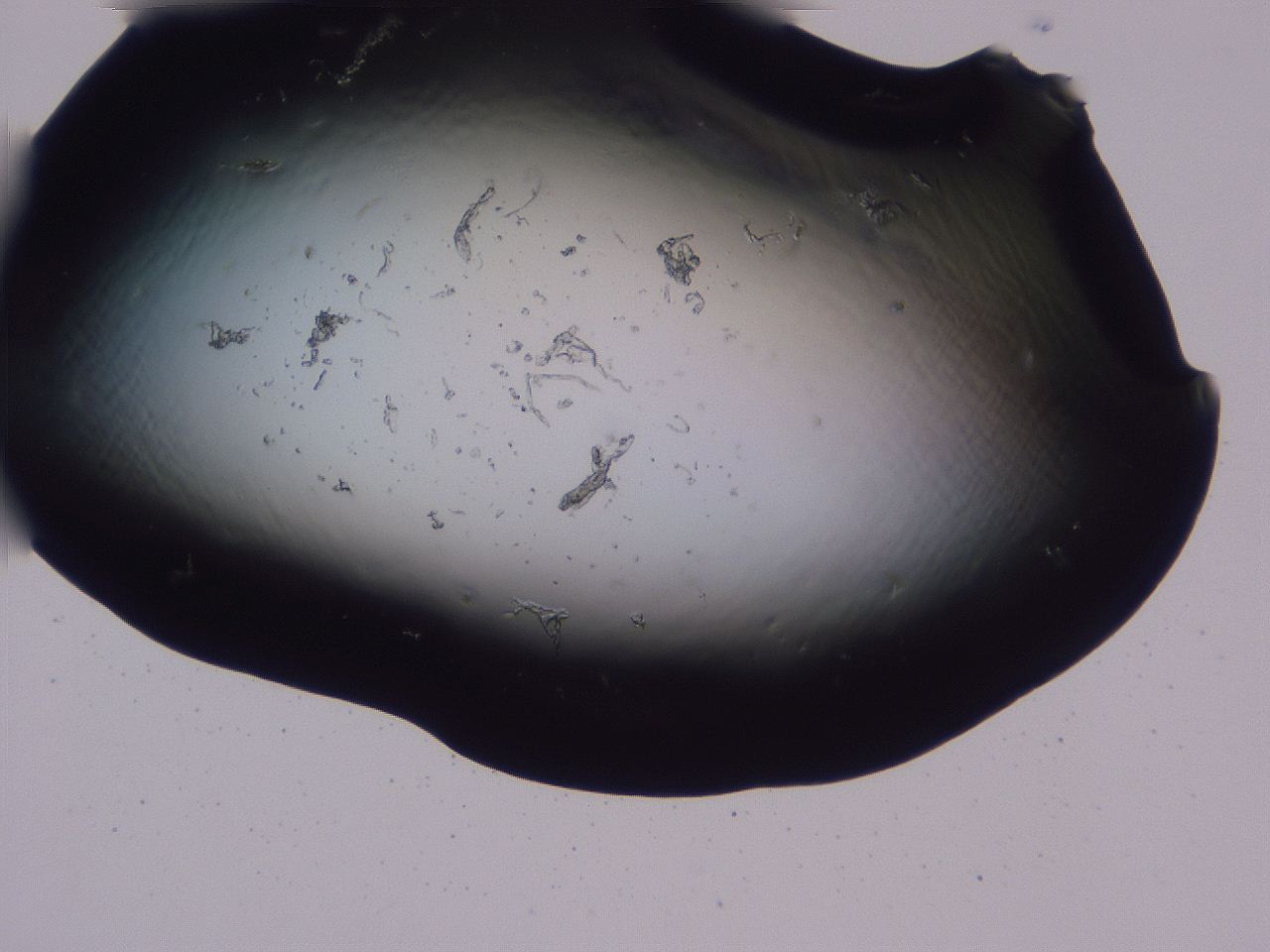 04b7_F9_ImagerDefaults_0.jpg