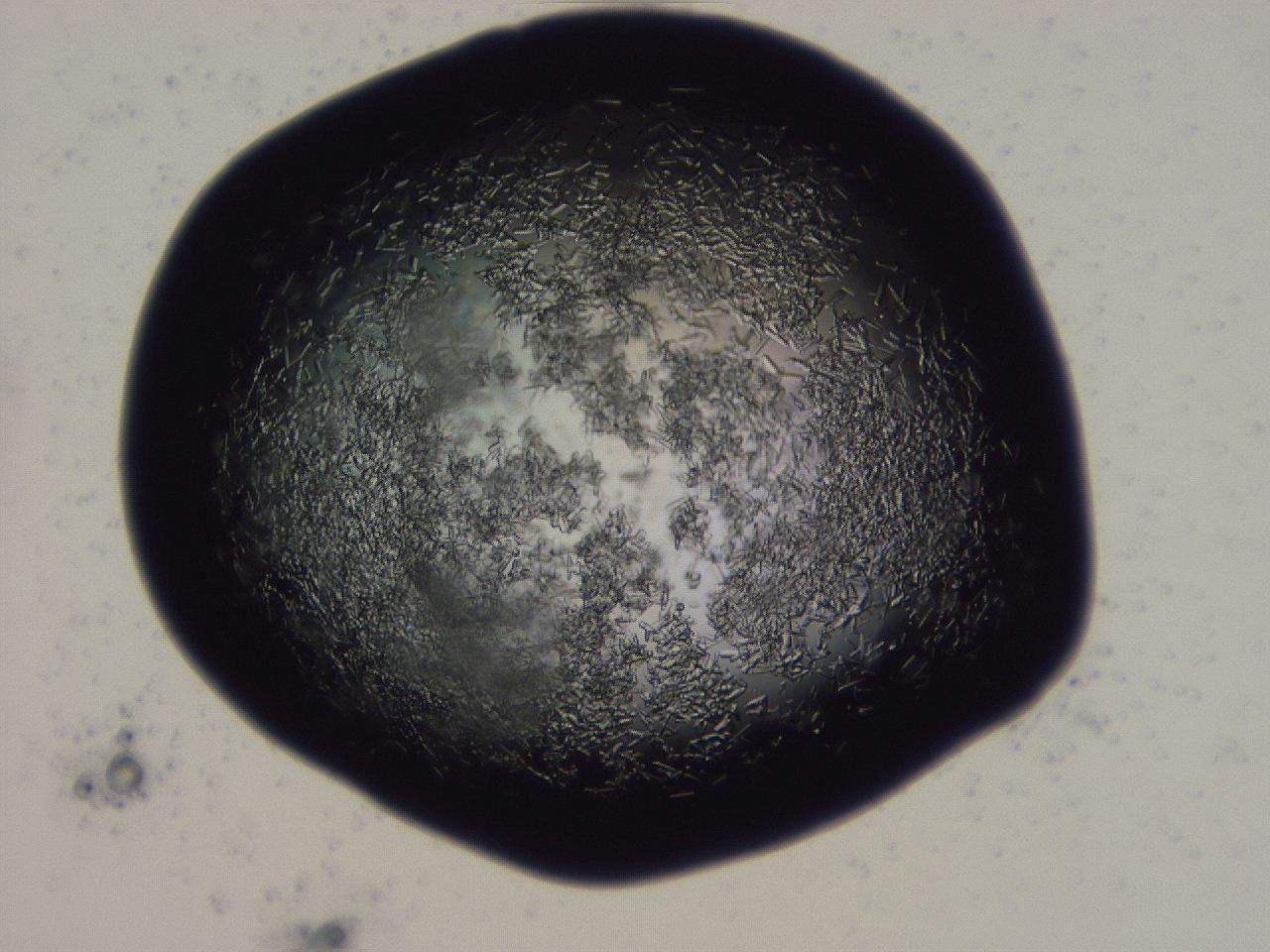 04b7_G10_ImagerDefaults_8.jpg