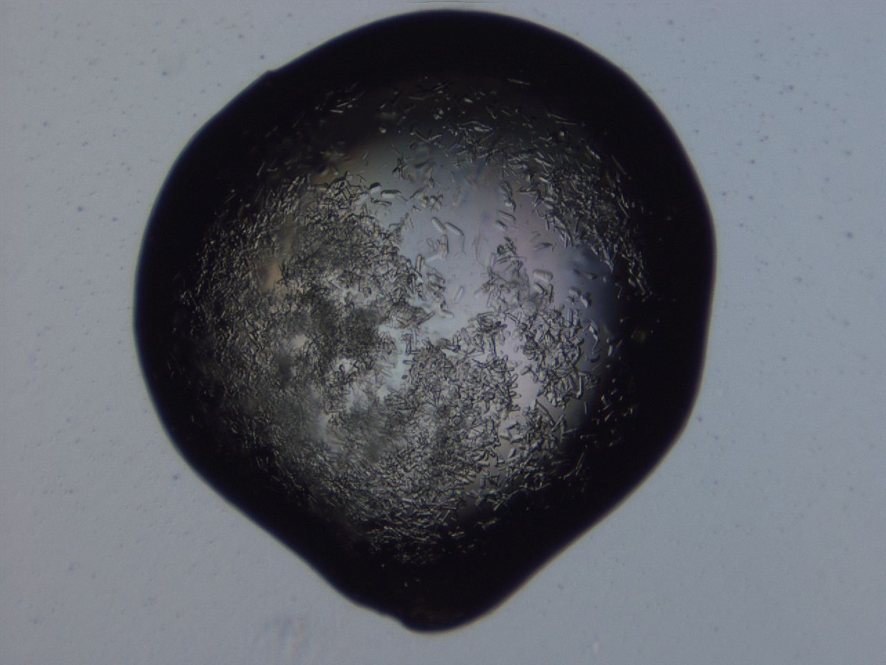 04b7_G11_ImagerDefaults_8.jpg