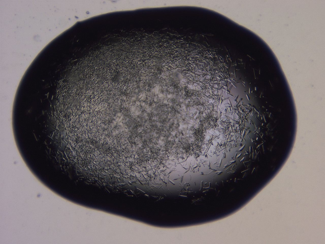 04b7_H10_ImagerDefaults_8.jpg