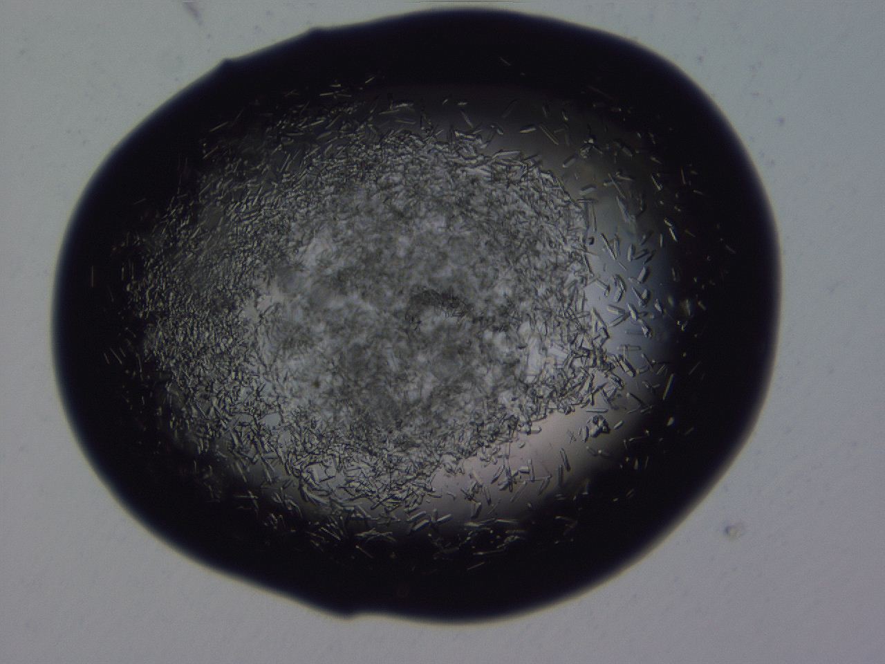 04b7_H11_ImagerDefaults_8.jpg