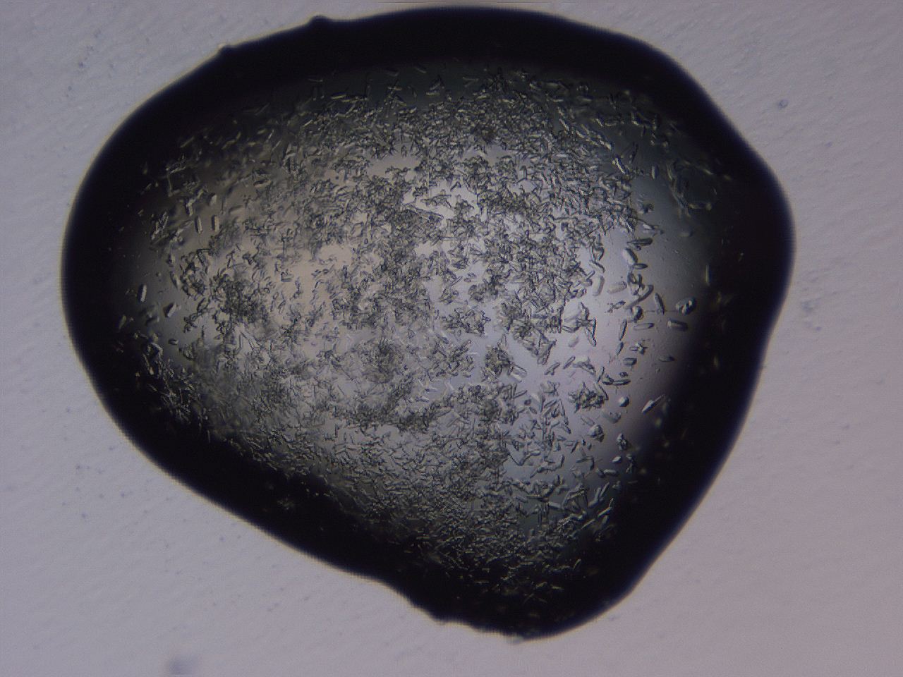 04b7_H12_ImagerDefaults_8.jpg