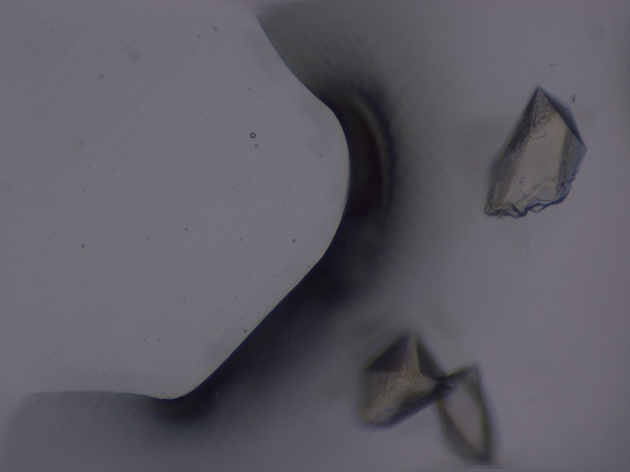 04b8_A8_ImagerDefaults_8.jpg