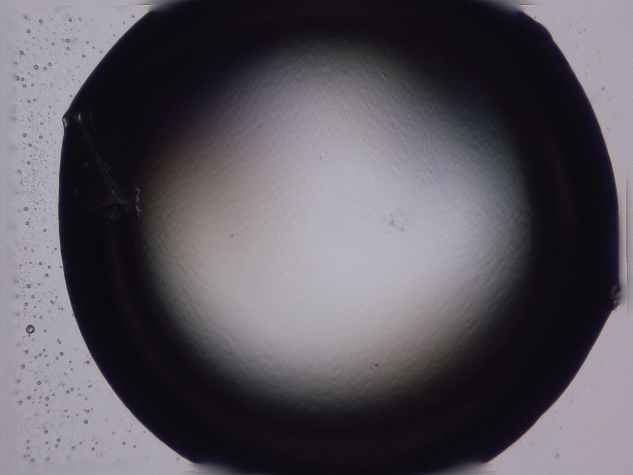 04b8_A3_ImagerDefaults_0.jpg
