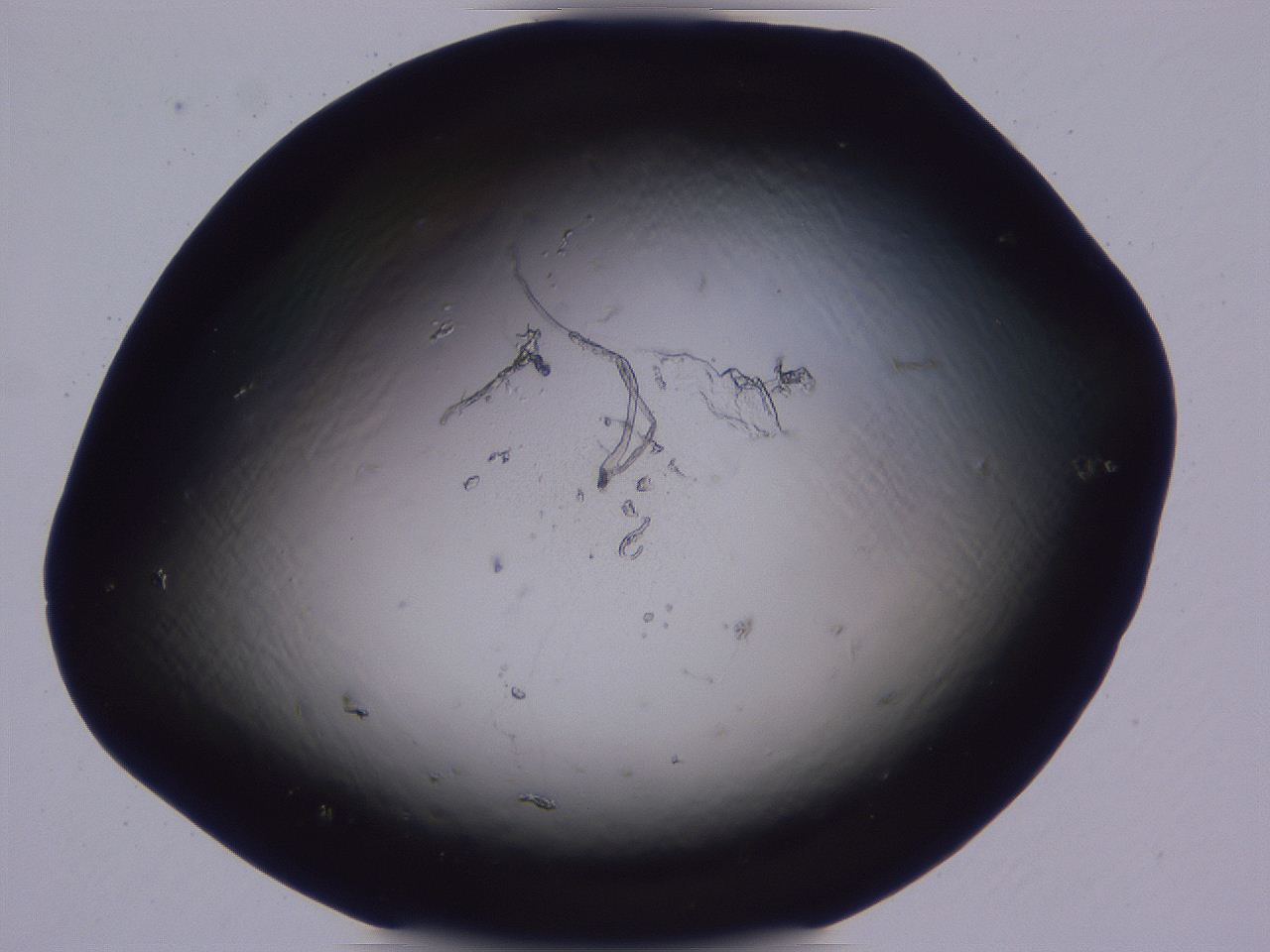 04b8_A12_ImagerDefaults_0.jpg