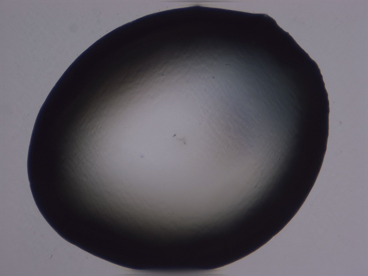 04b8_A11_ImagerDefaults_0.jpg