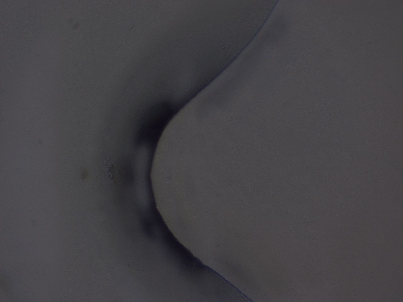 04b8_A9_ImagerDefaults_0.jpg
