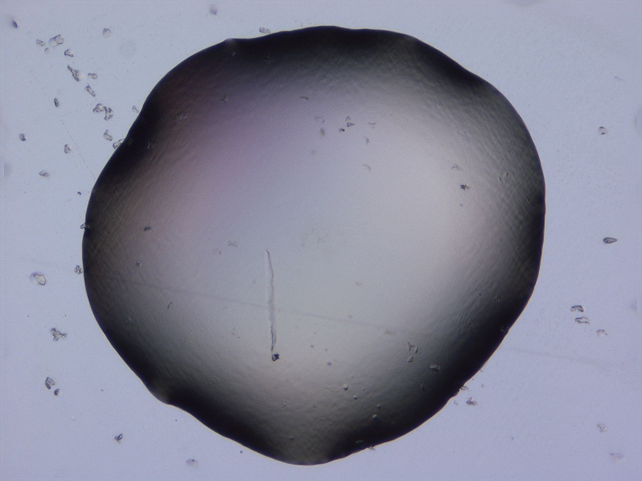 04b8_C1_ImagerDefaults_0.jpg