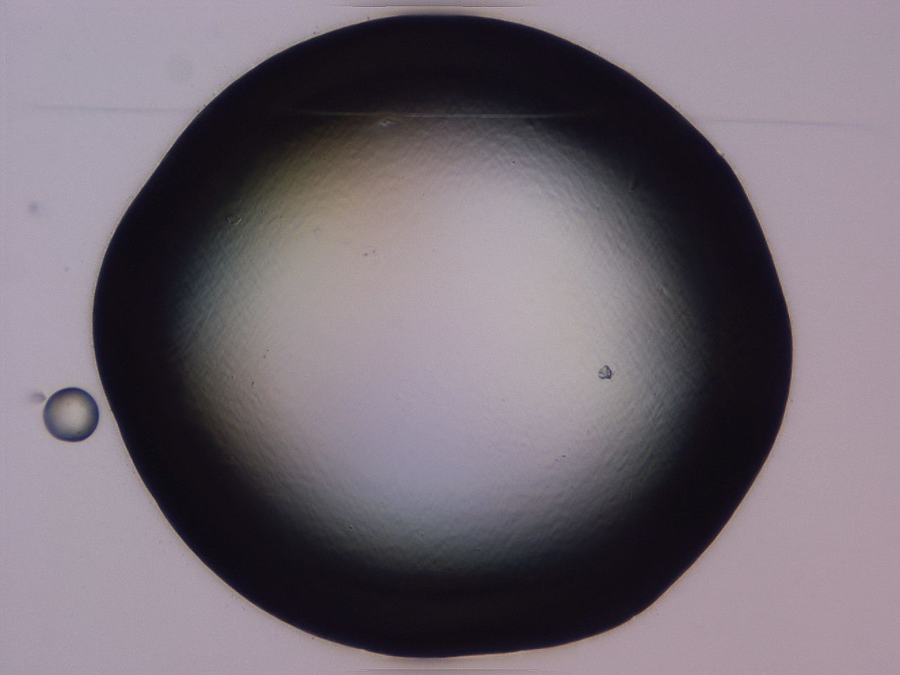 04b8_C2_ImagerDefaults_0.jpg