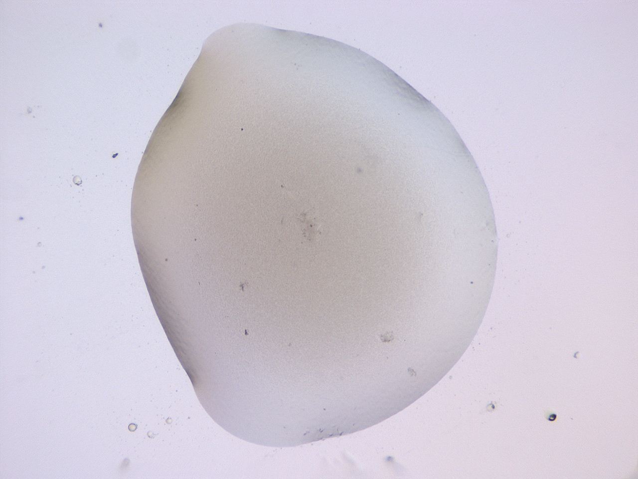 04b8_B12_ImagerDefaults_0.jpg