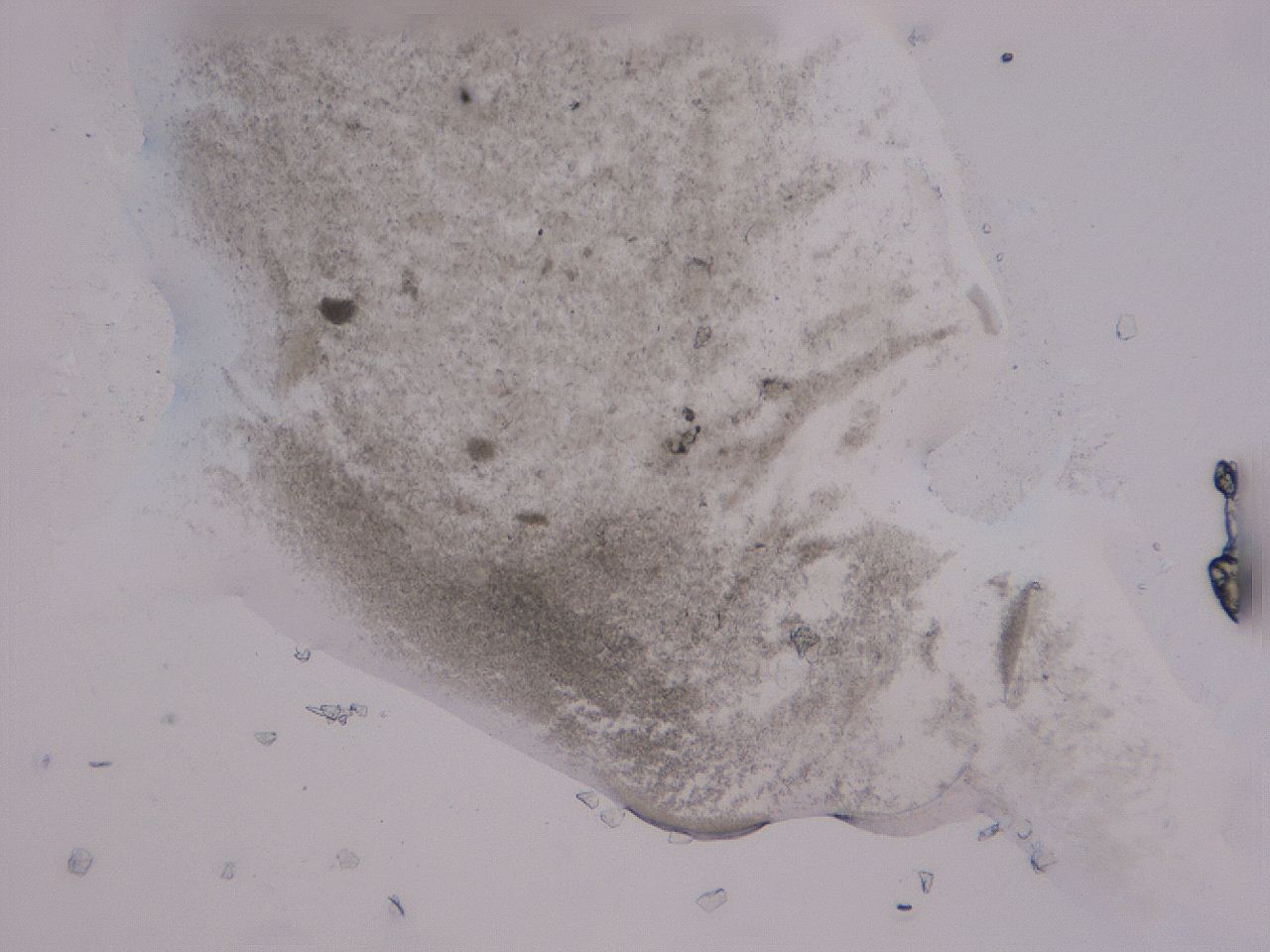 04b8_B10_ImagerDefaults_3.jpg