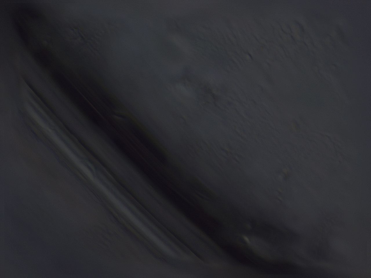 04b8_B8_ImagerDefaults_0.jpg