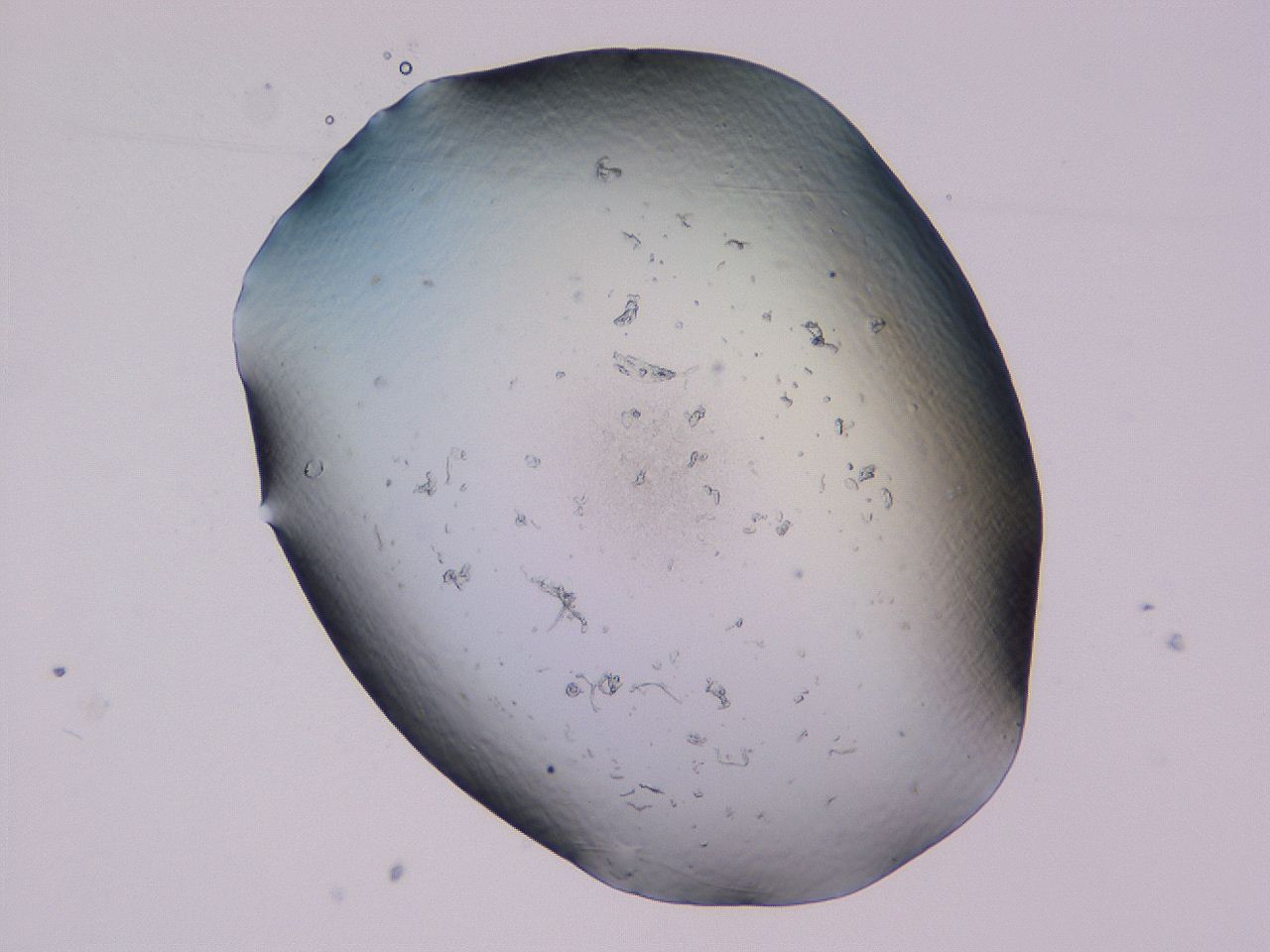 04b8_E4_ImagerDefaults_0.jpg