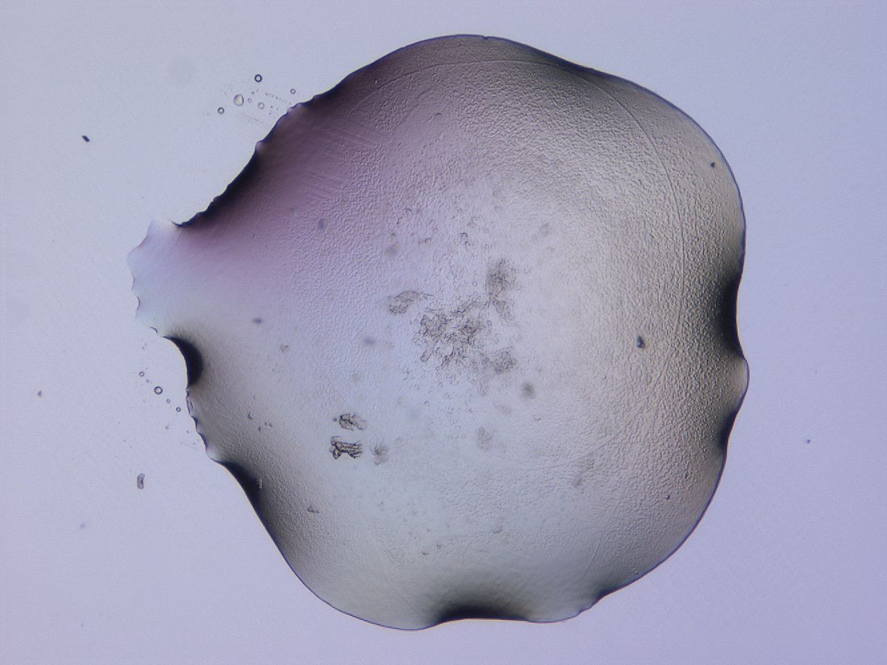 04b8_E6_ImagerDefaults_0.jpg