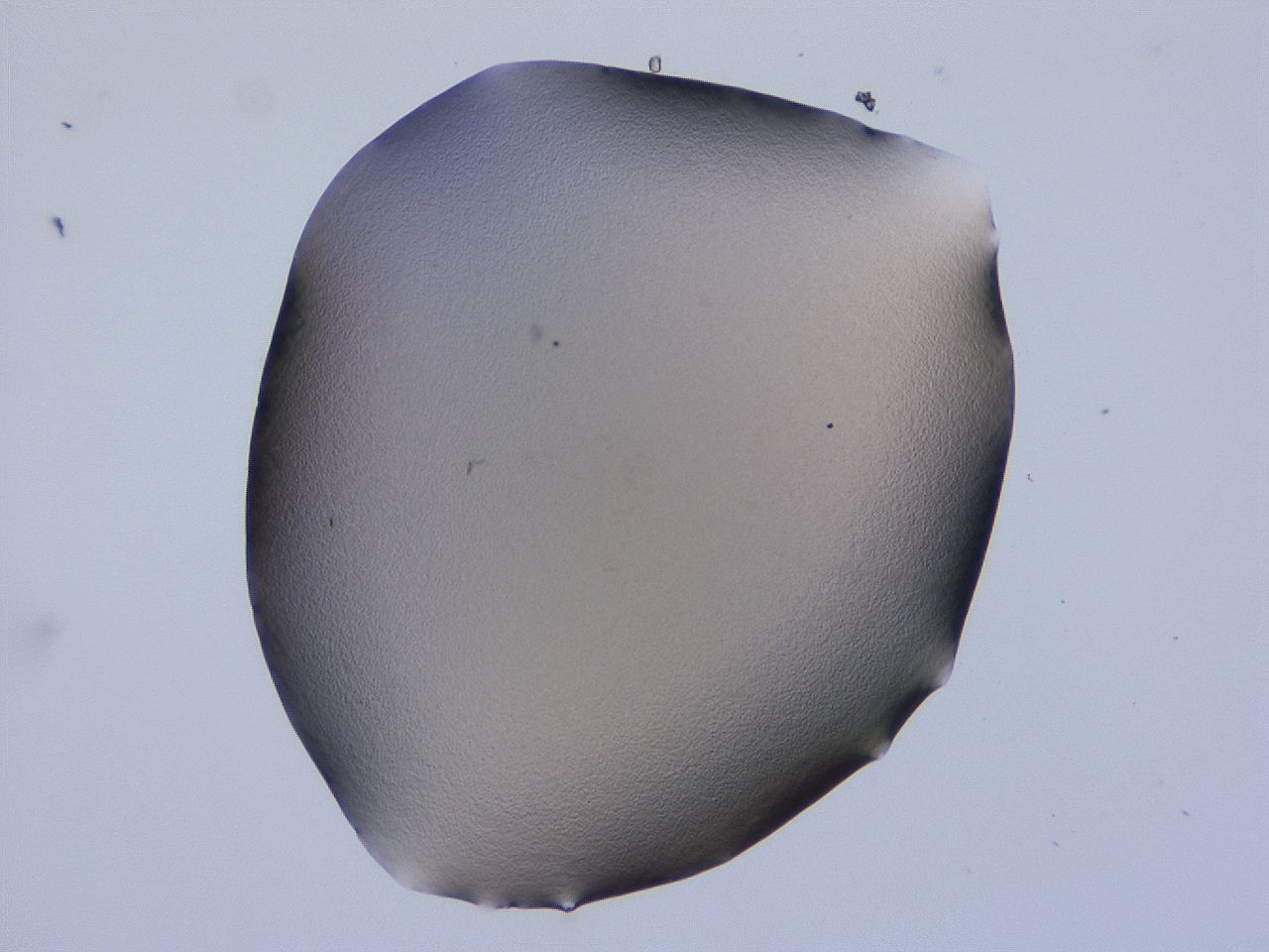 04b8_E10_ImagerDefaults_0.jpg