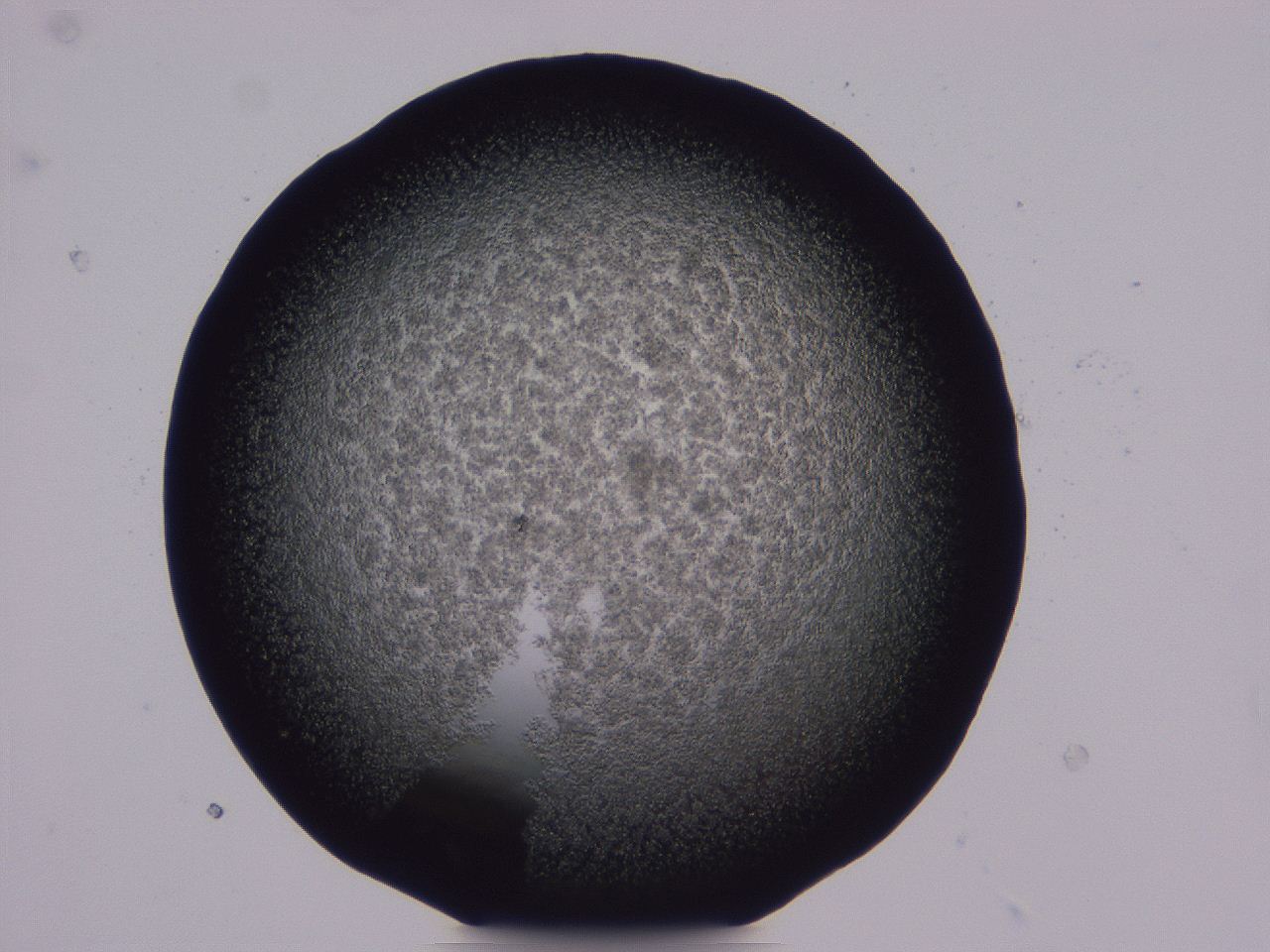 04b8_E11_ImagerDefaults_3.jpg