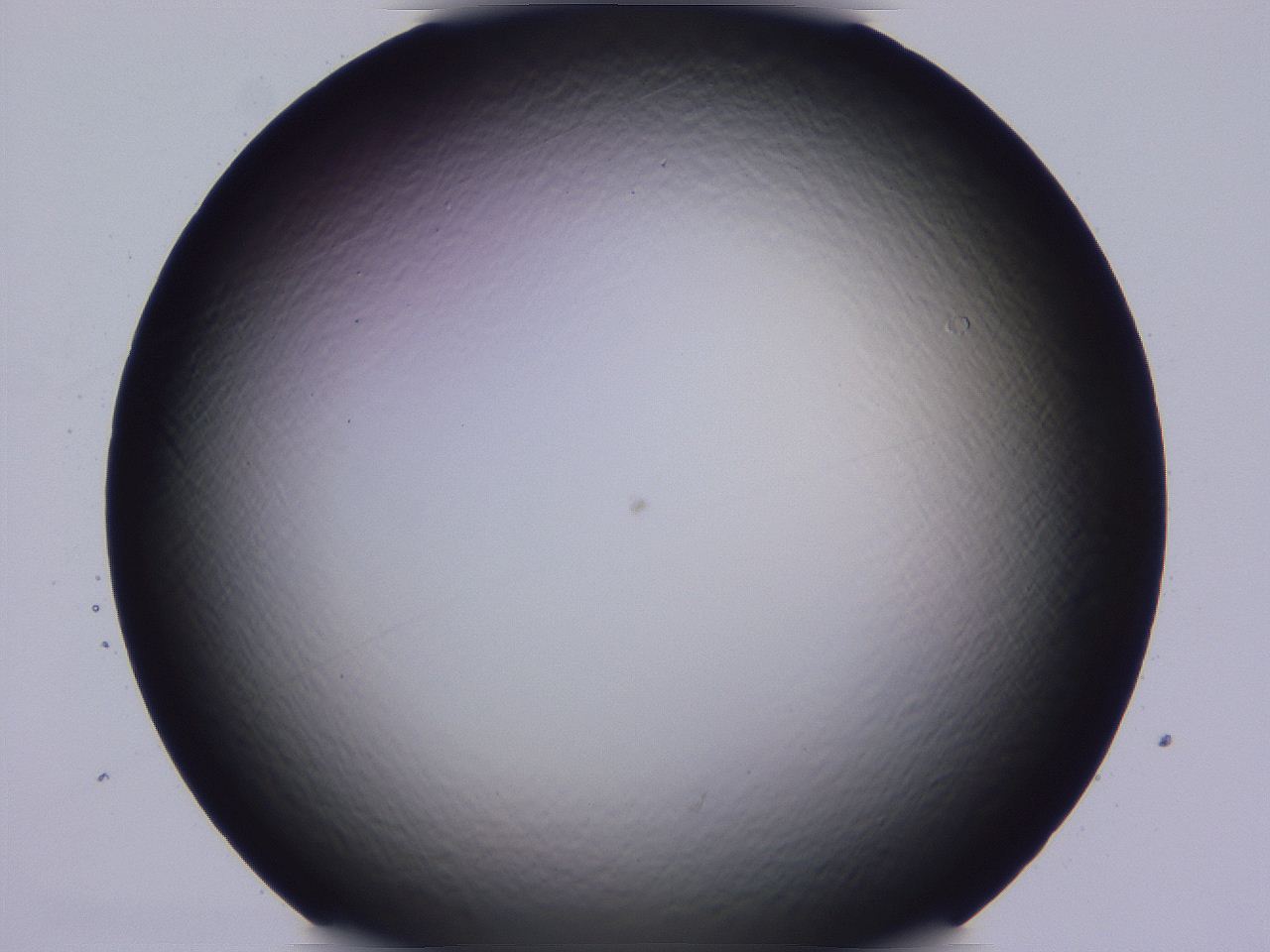 04b8_C4_ImagerDefaults_0.jpg