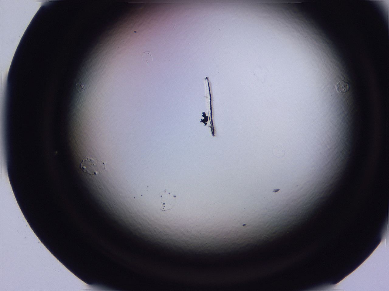 04b8_C5_ImagerDefaults_0.jpg